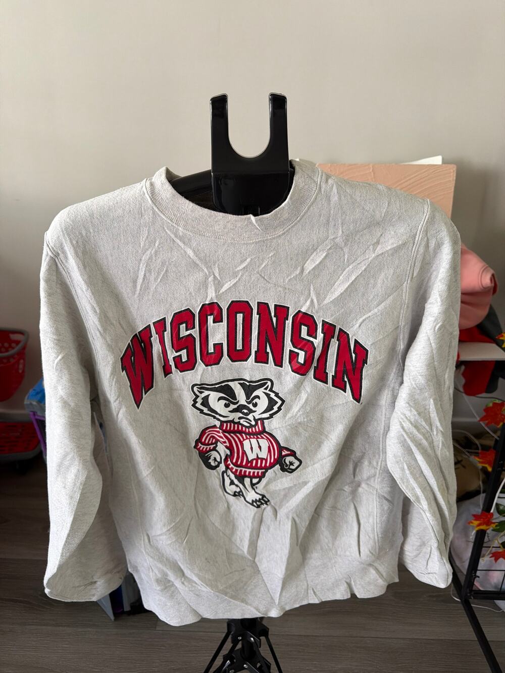 Wisconsin College Unisex Sweater